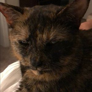 Meet your Posher, Susan